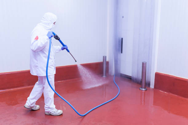 Best Patio and Deck Pressure Washing  in Parma, OH
